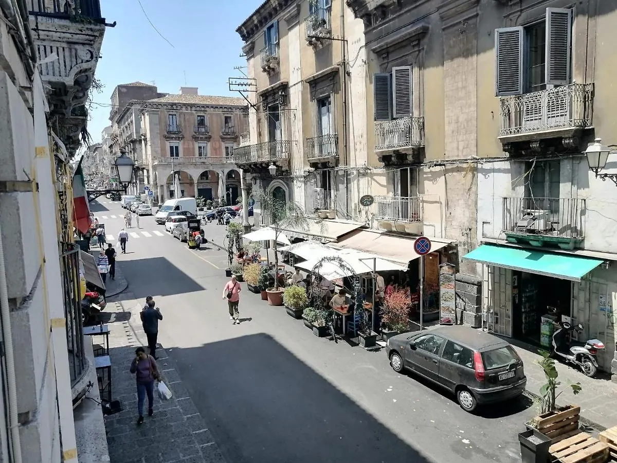 Dottore 5 - Catania Exclusive Apartment 0*,